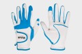 blue glove.jpg