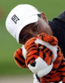 Ttiger headcoover.jpg