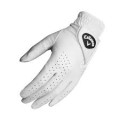 dawn partol glove.jpg